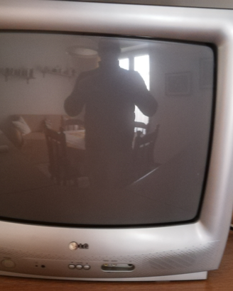 Tv 22 pollici LG