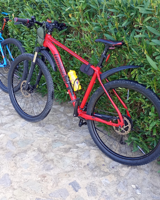 Mountain bike