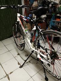 bici superleggera allum.