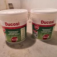 Vernice murale bianca traspirante/antimuffa 