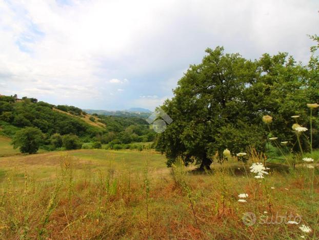 TER. AGRICOLO A MONTOPOLI DI SABINA