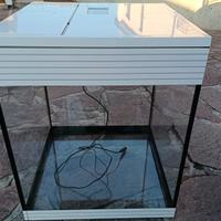 Acquario Askoll pure led