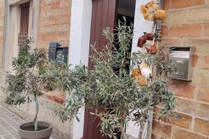 V003843 OSIMO CENTRO