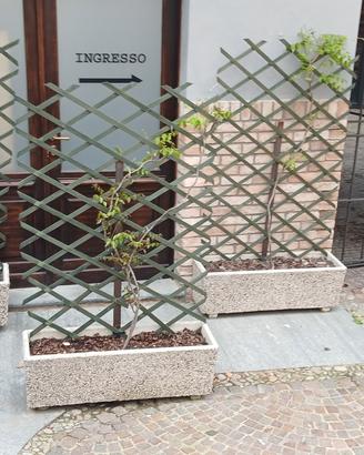 Fioriere cemento e ferro