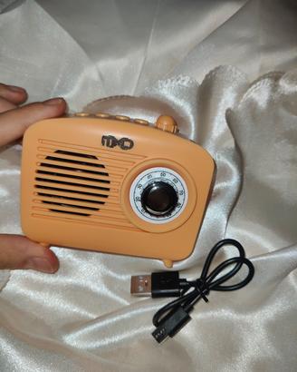 mini cassa vintage