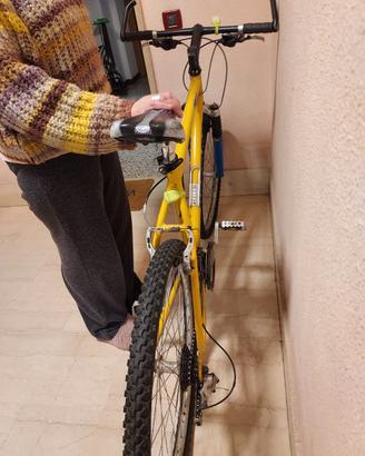 Bicicletta