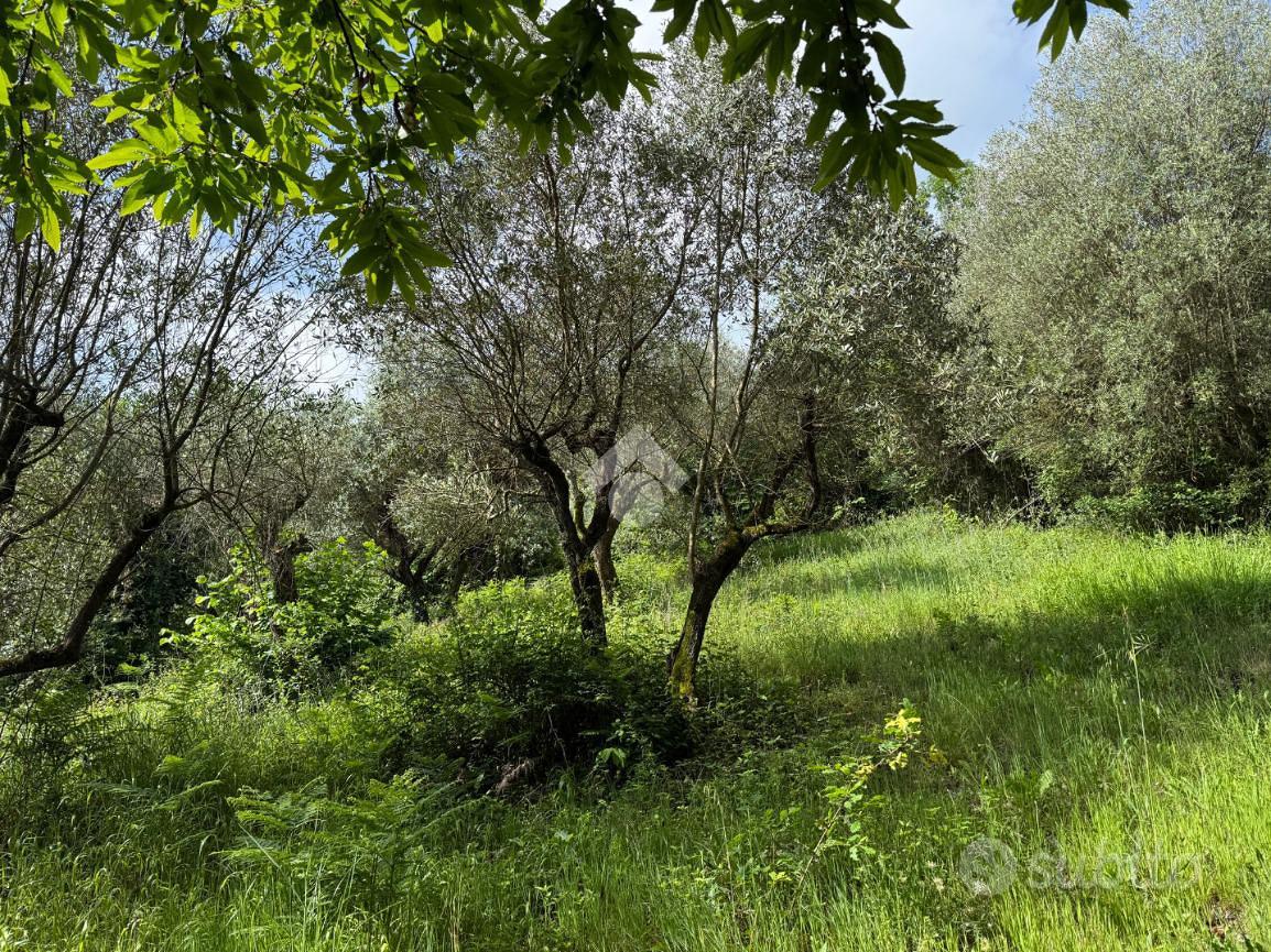 TER. AGRICOLO A ARTENA - Vista 5