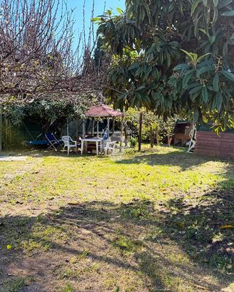 3 LOCALI A MONTALTO DI CASTRO