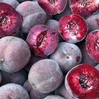  sei semi pesca della vigna. frutto antico