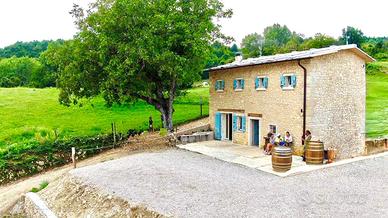 Pascolo/pensione cavalli - ULTIME DISPONIBILITÀ