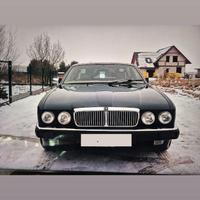Jaguar XJ 40  V6