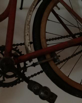 Bianchi bacchetta