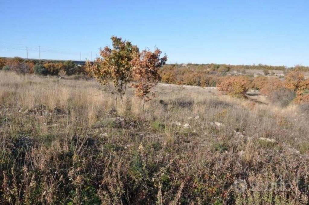 Immobile in asta di 36626 m² a Acquaviva delle Fon - Vista 4
