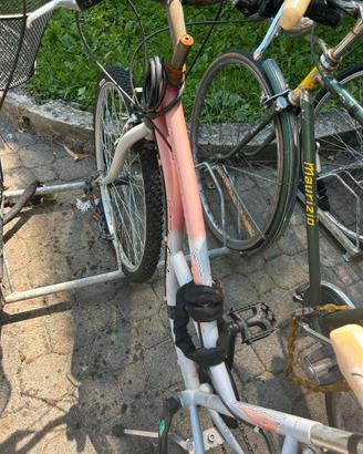 Bicicletta gratis