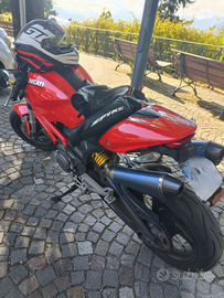 Ducati Monster 696+ 2010