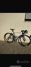 Wilier Triestina