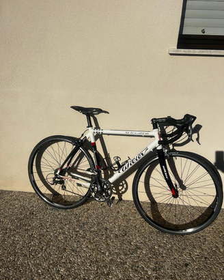 Wilier Triestina