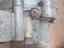 Immagine 6