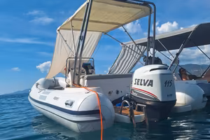 Predator Selva