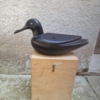 Anatra Venini, Toni Zuccheri