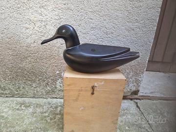 Anatra Venini, Toni Zuccheri