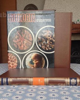 Enciclopedia italiana delle Scienze