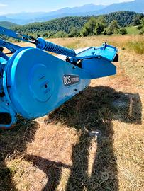 BCS Girello Ranghinatore