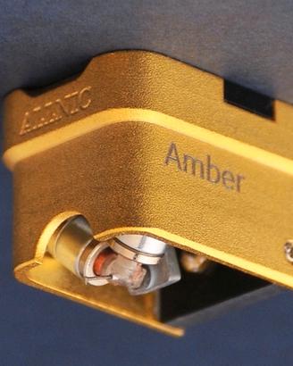 Testina Allnic Amber