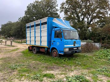 Camioncino OM50