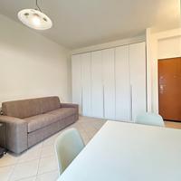 Ampio monolocale ristrutturato e arredato - zona S