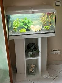 Acquario Sicce 60 litri