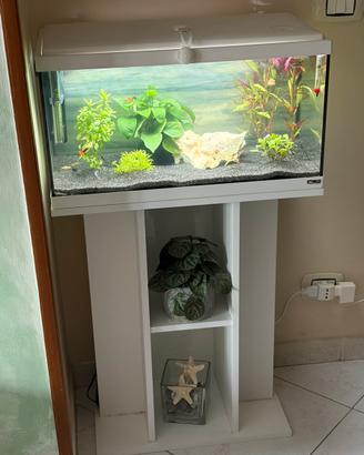 Acquario Sicce 60 litri