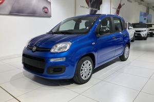 FIAT Panda 1.0 FireFly 70cv S&S Hybrid Icon v...