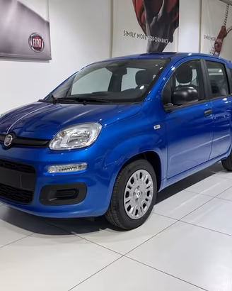 FIAT Panda 1.0 FireFly 70cv S&S Hybrid Icon v...