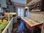 Immagine 13
