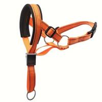 Guinzaglio museruola arancione 