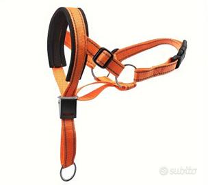 Guinzaglio museruola arancione 