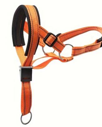 Guinzaglio museruola arancione 