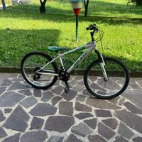 Bicicletta bimbo