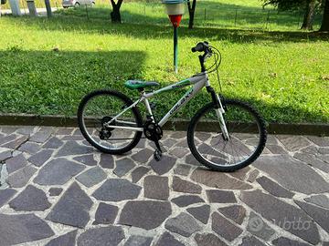 Bicicletta bimbo