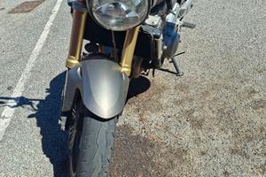 Hornet 600