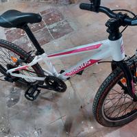mountain bike bambina misura 20