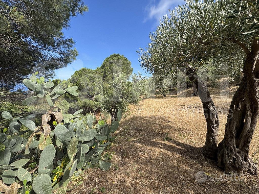 Terreno Agricolo Messina [Cod. rif 3331511VCG] - Vista 2