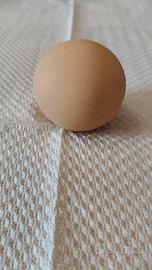 UOVO ROTONDO
