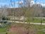 Immagine 12