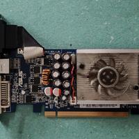 SCHEDA GRAFICA PCI EXPRESS 256 MB GF 8400 GS ASUS