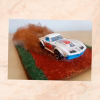 Diorama Stradale Rally con Modellino in Omaggio 