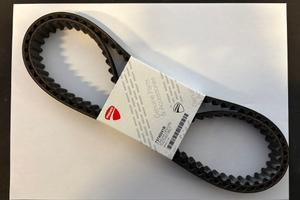 Coppia cinghie distribuzione originale Ducati 7374
