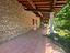 Immagine 15