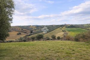 TER. AGRICOLO A SANT'OMERO